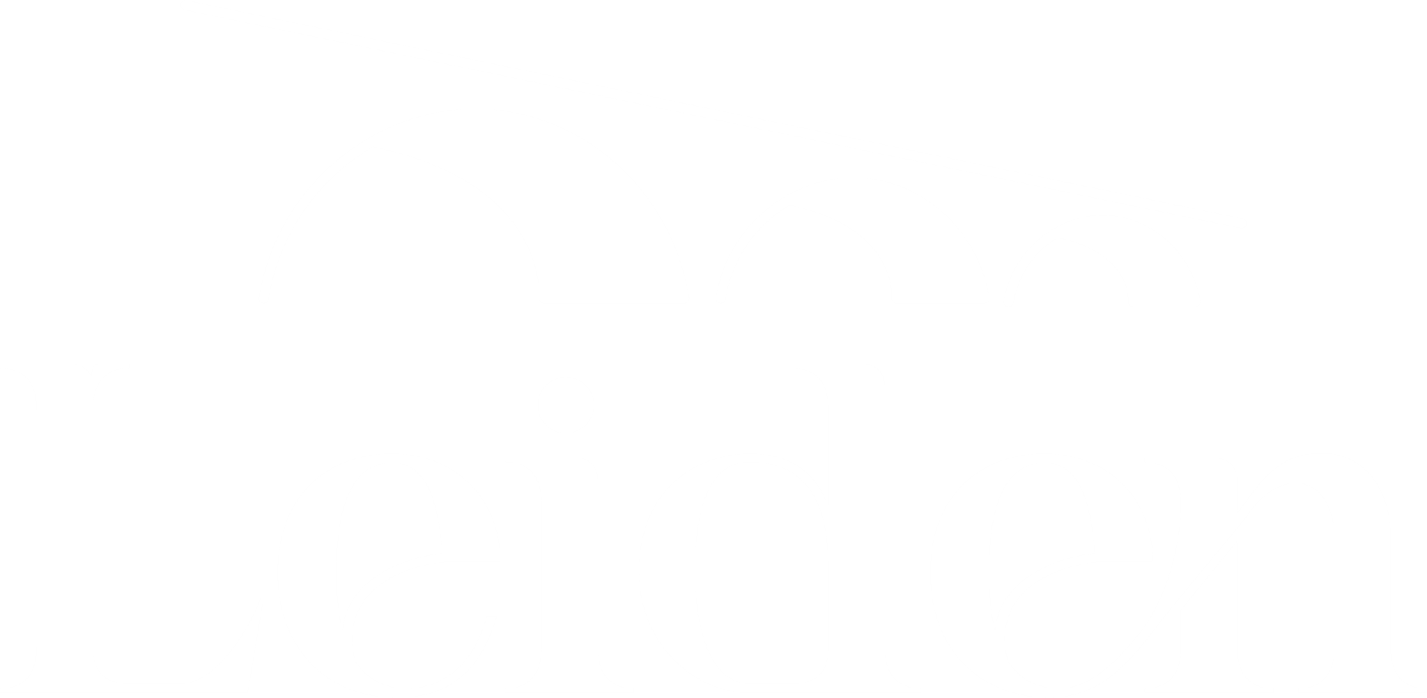Leiden Logo Scaled 2048x1002