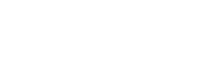 liviza 2024 logo liviza interieur groep wit